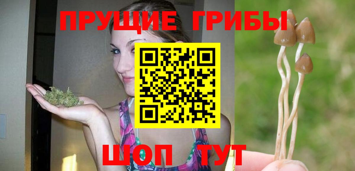 Псилоцибиновые грибы мухоморы Рязань
